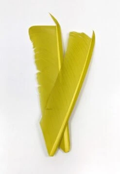 Nature's Spirit Turkey Biot Quill Pieces -Fishing Sales Shop nature s spirit turkey biot quill pieces pale olive 28959974064191 5000x