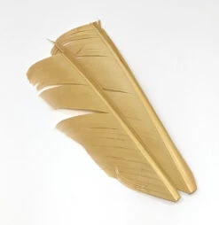 Nature's Spirit Turkey Biot Quill Pieces -Fishing Sales Shop nature s spirit turkey biot quill pieces tan yellow 29423217246271 5000x