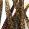 Nature's Sprit Golden Pheasant Center Tail Feather 1 Nature's Sprit Golden Pheasant Center Tail Feather -Fishing Sales Shop nature s sprit golden pheasant center tail feather olive brown 8234639685 5000x