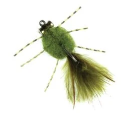 Rag Head Crab Olive #4