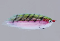 Rainy's CF Baitfish -Fishing Sales Shop rainy s cf baitfish rainbow 2 28297895280703 5000x