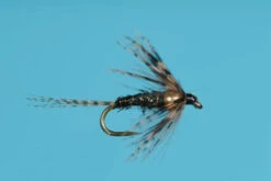 Soft Hackle Thorax