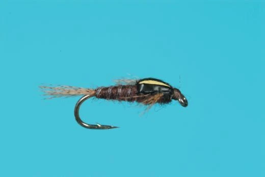 Split Case PMD Nymph 3 Split Case PMD Nymph