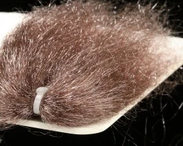 Sybai Ghost Hair 15 Sybai Ghost Hair - Image 13