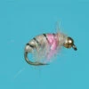 Tungsten Rainbow Czech Nymph 1 Tungsten Rainbow Czech Nymph -Fishing Sales Shop tungsten rainbow czech nymph size 12 6466797573 5000x