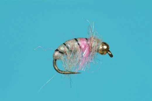 Tungsten Rainbow Czech Nymph 3 Tungsten Rainbow Czech Nymph