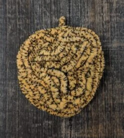 UV Mottled Galaxy Mop Chenille -Fishing Sales Shop uv mottled galaxy mop chenille 56 cheese 15834633338943 5000x