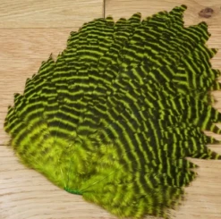 Wapsi Grizzly Hen Saddle -Fishing Sales Shop wapsi grizzly hen saddle fl chartreuse 15534435074111 5000x