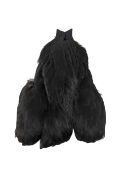 Whiting 4 B Hen Cape -Fishing Sales Shop whiting 4 b hen cape black 28277766225983 5000x