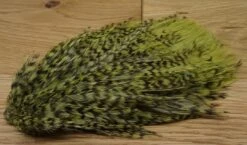 Whiting American Streamer Pack 19 Whiting American Streamer Pack -Fishing Sales Shop whiting american streamer pack grizzly olive 4431629025343 5000x