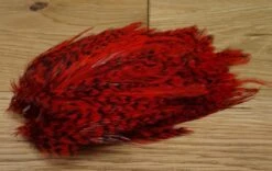 Whiting American Streamer Pack 21 Whiting American Streamer Pack -Fishing Sales Shop whiting american streamer pack grizzly red 4431629058111 5000x