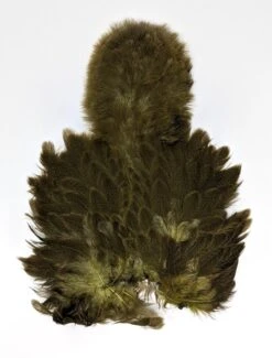 Whiting Brahma Soft Hackle With Chickabou -Fishing Sales Shop whiting brahma soft hackle with chickabou 16008884158527 5000x