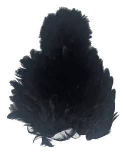 Whiting Brahma Soft Hackle With Chickabou -Fishing Sales Shop whiting brahma soft hackle with chickabou black 28253811605567 5000x