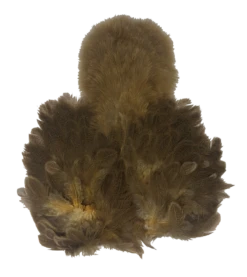 Whiting Brahma Soft Hackle With Chickabou -Fishing Sales Shop whiting brahma soft hackle with chickabou mottled grey dyed golden straw 28253809901631 5000x