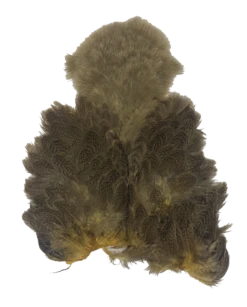 Whiting Brahma Soft Hackle With Chickabou -Fishing Sales Shop whiting brahma soft hackle with chickabou mottled grey dyed pale yellow 28253812686911 5000x