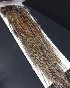 Whiting Bronze Rooster Saddle -Fishing Sales Shop whiting bronze rooster saddle 28884898644031 5000x