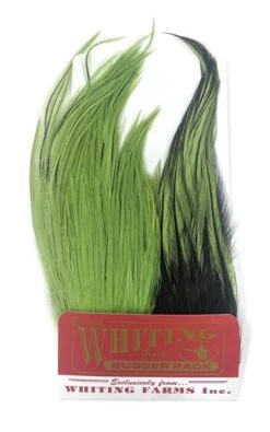 Whiting Bugger Pack 41 Whiting Bugger Pack -Fishing Sales Shop whiting bugger pack 28278257221695 5000x