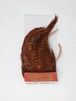 Whiting Bugger Pack 31 Whiting Bugger Pack -Fishing Sales Shop whiting bugger pack grizzly burnt orange 28249779732543 5000x