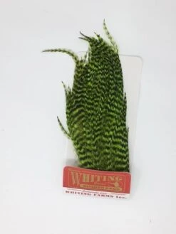 Whiting Bugger Pack 28 Whiting Bugger Pack -Fishing Sales Shop whiting bugger pack grizzly fl green chartreuse 28249777274943 5000x