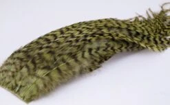 Whiting Bugger Pack 39 Whiting Bugger Pack -Fishing Sales Shop whiting bugger pack grizzly olive 28249796935743 5000x