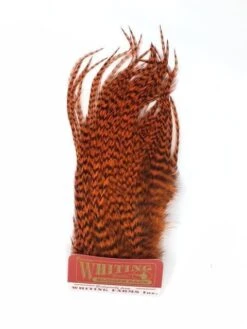 Whiting Bugger Pack 29 Whiting Bugger Pack -Fishing Sales Shop whiting bugger pack grizzly orange 28249777963071 5000x