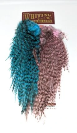 Whiting CDL Predator Pack -Fishing Sales Shop whiting cdl predator pack grizzly pardo shell pink silver dr blue 15984871505983 5000x