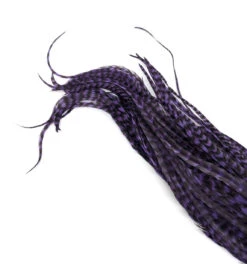 Whiting Schlappen Pack 10-14" Bundle -Fishing Sales Shop whiting schlappen pack 10 14 bundle grizzly purple 29422498709567 5000x